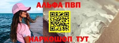 гашик Тверь