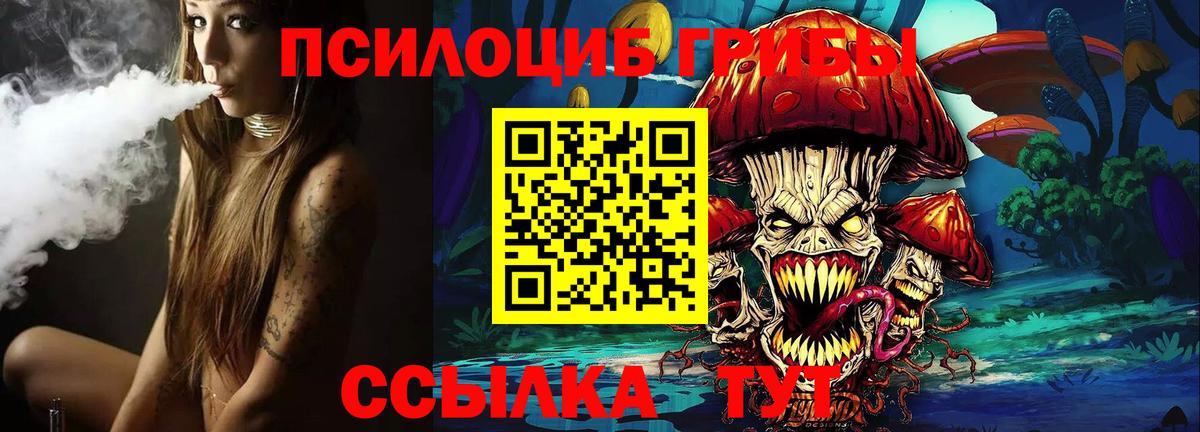 Псилоцибиновые грибы Cubensis Орехово-Зуево